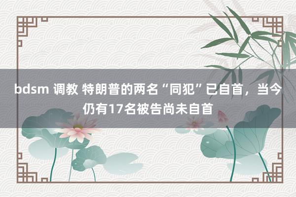 bdsm 调教 特朗普的两名“同犯”已自首，当今仍有17名被告尚未自首