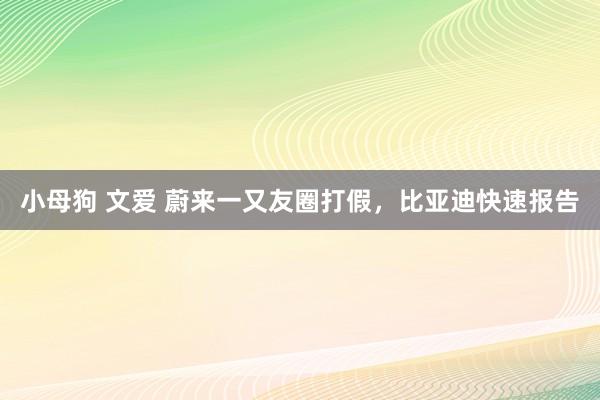 小母狗 文爱 蔚来一又友圈打假，比亚迪快速报告