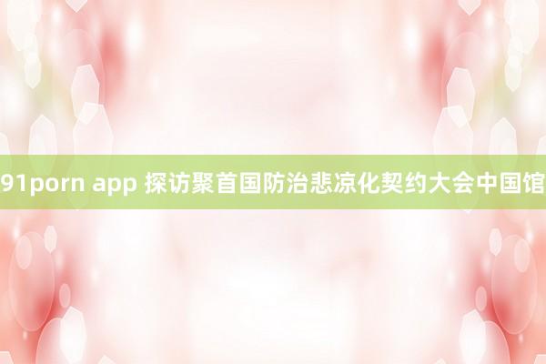 91porn app 探访聚首国防治悲凉化契约大会中国馆