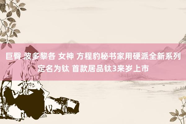 巨臀 波多黎各 女神 方程豹秘书家用硬派全新系列定名为钛 首款居品钛3来岁上市