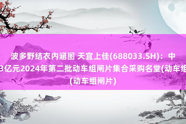 波多野结衣内涵图 天宜上佳(688033.SH)：中标1.23亿元2024年第二批动车组闸片集合采购名堂(动车组闸片)