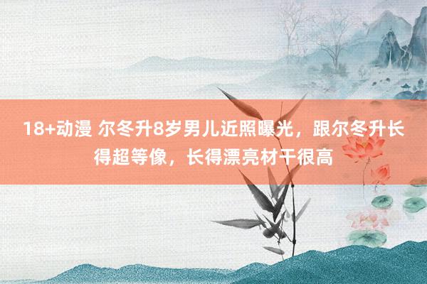 18+动漫 尔冬升8岁男儿近照曝光，跟尔冬升长得超等像，长得漂亮材干很高