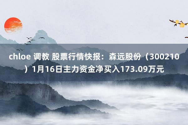 chloe 调教 股票行情快报：森远股份（300210）1月16日主力资金净买入173.09万元