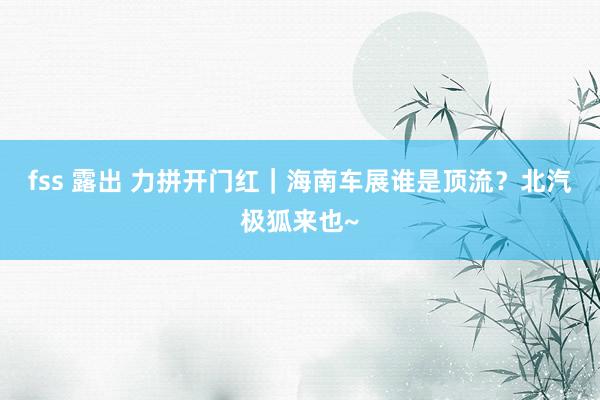 fss 露出 力拼开门红｜海南车展谁是顶流？北汽极狐来也~