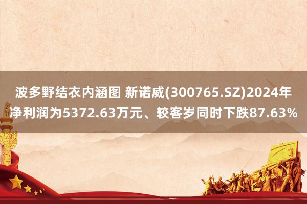 波多野结衣内涵图 新诺威(300765.SZ)2024年净利润为5372.63万元、较客岁同时下跌87.63%